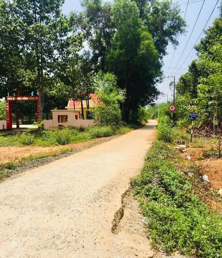 Đất thổ cư 200m² tại xã Đồng Tâm, huyện Đồng Phú - Giá chỉ từ 600 triệu!