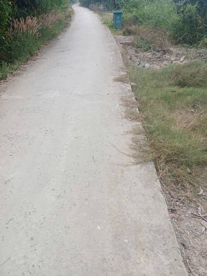 Đất nông nghiệp 5300m² tại xã Phước Lập, Đồng Tháp - Cơ hội đầu tư tiềm năng!