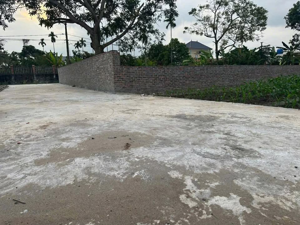 Lô đất Thái Xuyên Thái Thụy 71.5m² giá 500 triệu - Hướng Đông mát mẻ!