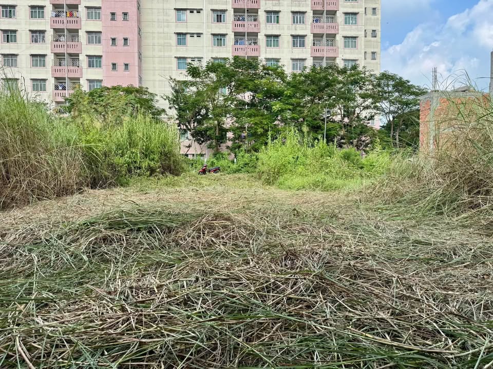 Đất nền đường 7m Hòa Thuận, Cao Lãnh 112.5m² - Đầu tư sinh lời ngay!