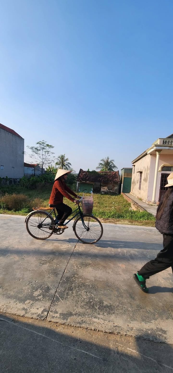 Đất nền hướng Đông tại xóm 1, Xã Nga Liên, 265m² - Cơ hội đầu tư tuyệt vời!