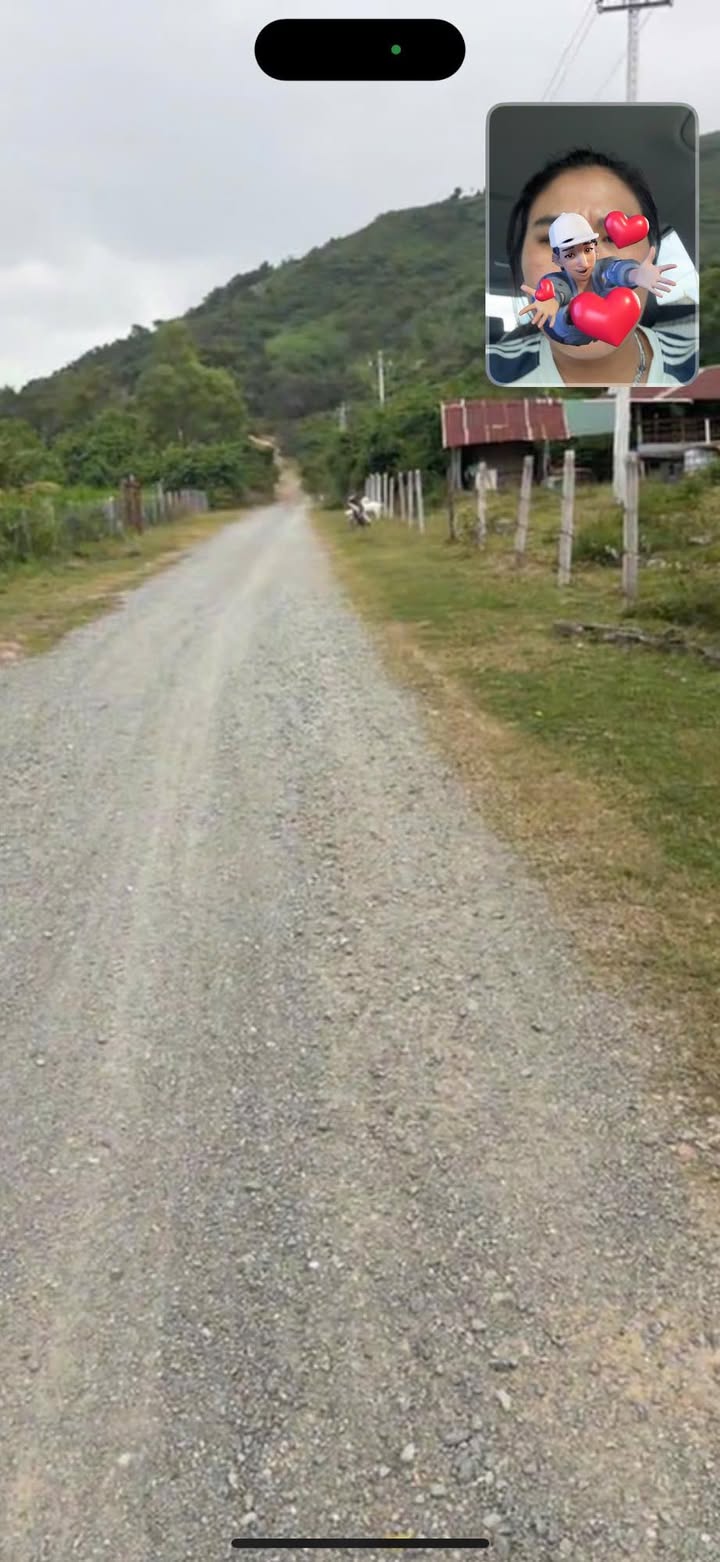 Farm đất vườn Nam Cam Ranh 22.000m² giá 8 tỷ - Bán gấp, sổ đỏ chính chủ!