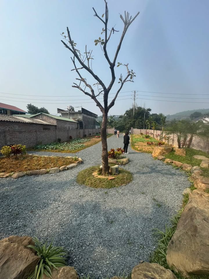 Đất nền Đông Xuân Quốc Oai 451m² - Đầu tư sinh lời tiềm năng!