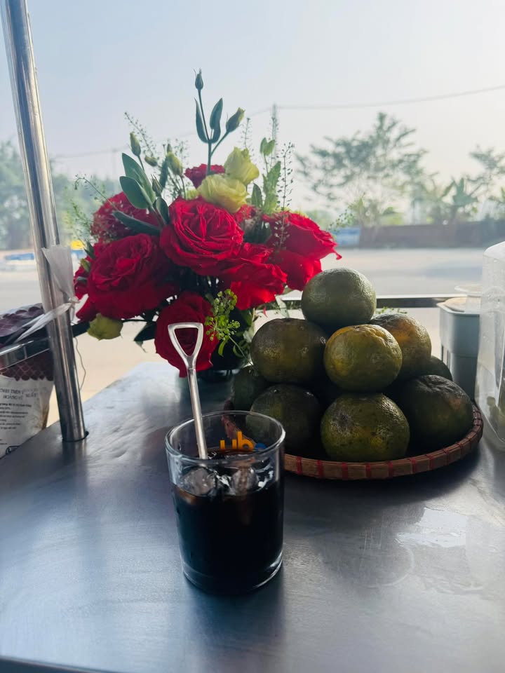 Đất thổ cư 1280m² tại Tam Đảo giá 1,2 tỷ - Đầu tư sinh lời hấp dẫn!