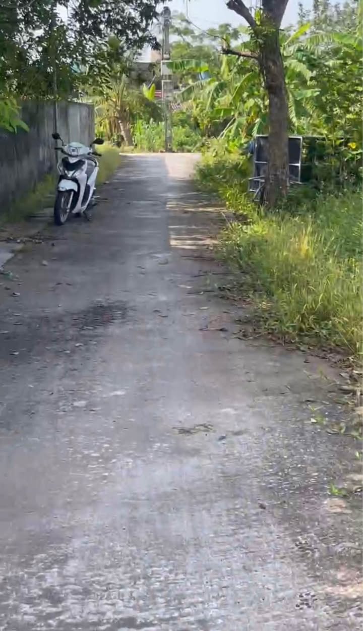 Đất nền Thái Thọ, Thái Thụy 165m² giá chỉ 300 triệu - Đường ô tô vào tận nơi!