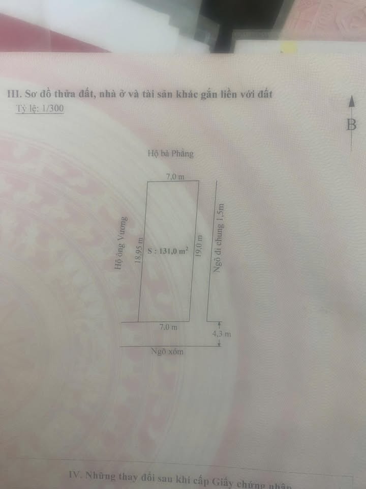 Đất nền Xích Thổ, An Hải, An Dương 131m² - Sổ đỏ chính chủ, giá chỉ 2.62 tỷ!