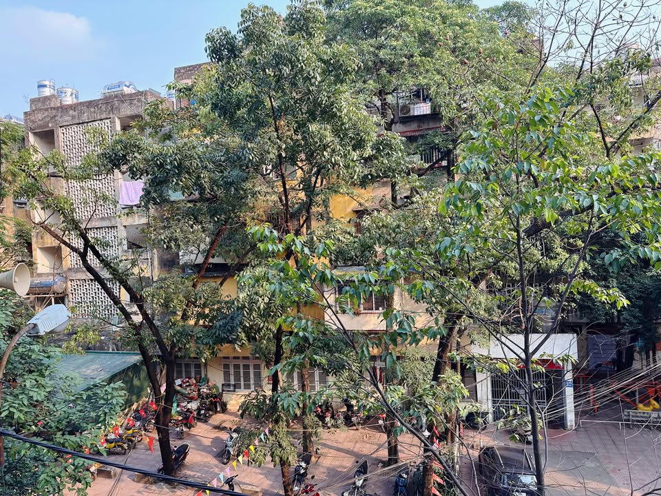 Nhà nguyên căn cho thuê tại Huỳnh Thúc Kháng 124m² - Thiết kế lý tưởng cho spa, văn phòng!