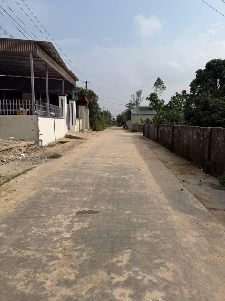 Đất nền Xã Nghi Lâm 256m² giá 2 tỷ - Lô góc 2 mặt tiền thu hút!