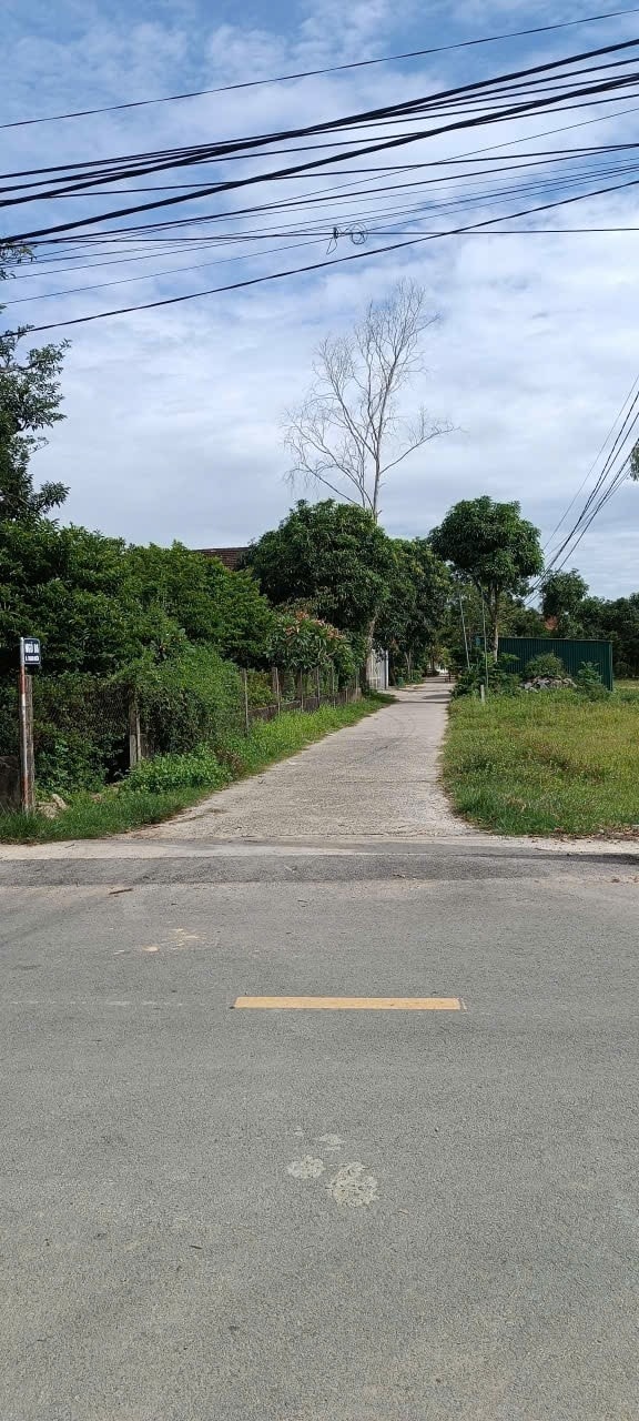 Đất nền chính chủ Nghi Ân, 120m² chỉ 2.5 tỷ - Sổ hồng rõ ràng!