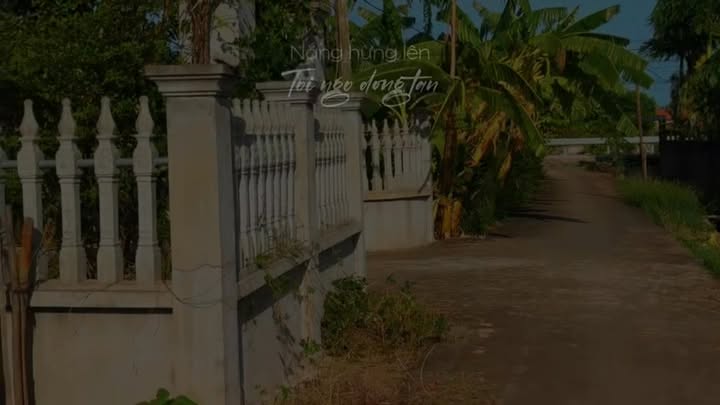 Đất thổ cư tại xóm An Hải, xã Bình Minh, 70m² chỉ 400 triệu - Đầu tư sinh lời lâu dài!