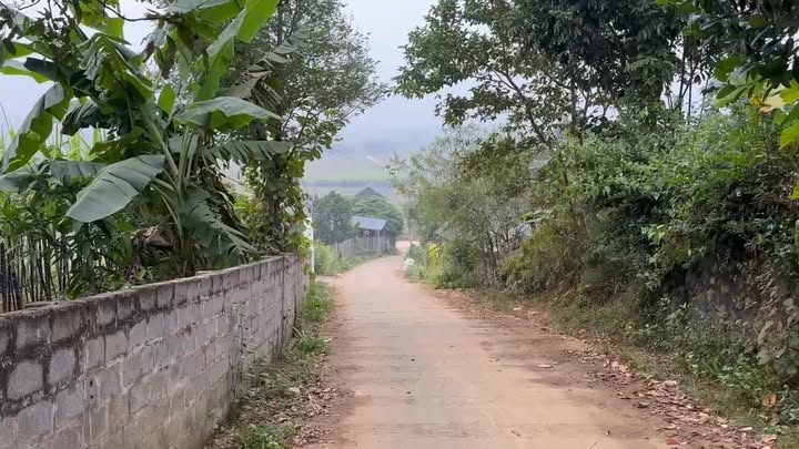 Đất nền thổ cư 750m² tại Cao Phong, Hòa Bình - Giá chỉ 800 triệu, cơ hội đầu tư hấp dẫn!