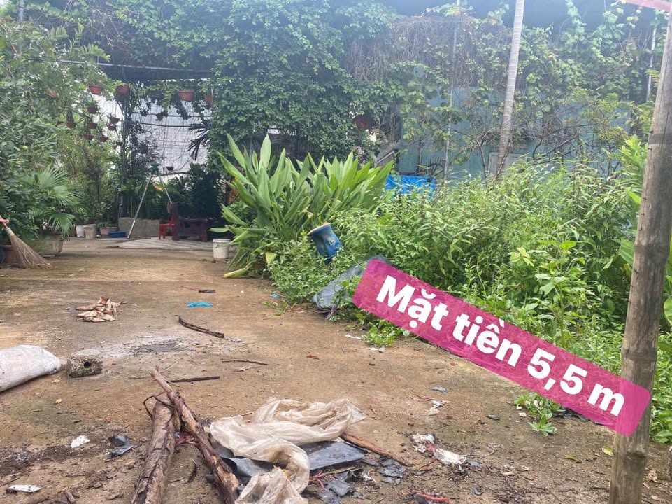 Lô đất 92m² tại Thị trấn Kép, Bắc Giang - Giá chỉ 420 triệu, gần 3 trường học!