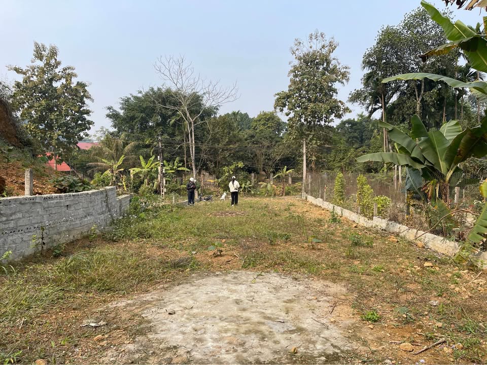 Đất mặt đường Quốc lộ 32C, Phường Hợp Minh, 160m² - Vị trí kinh doanh đỉnh cao!