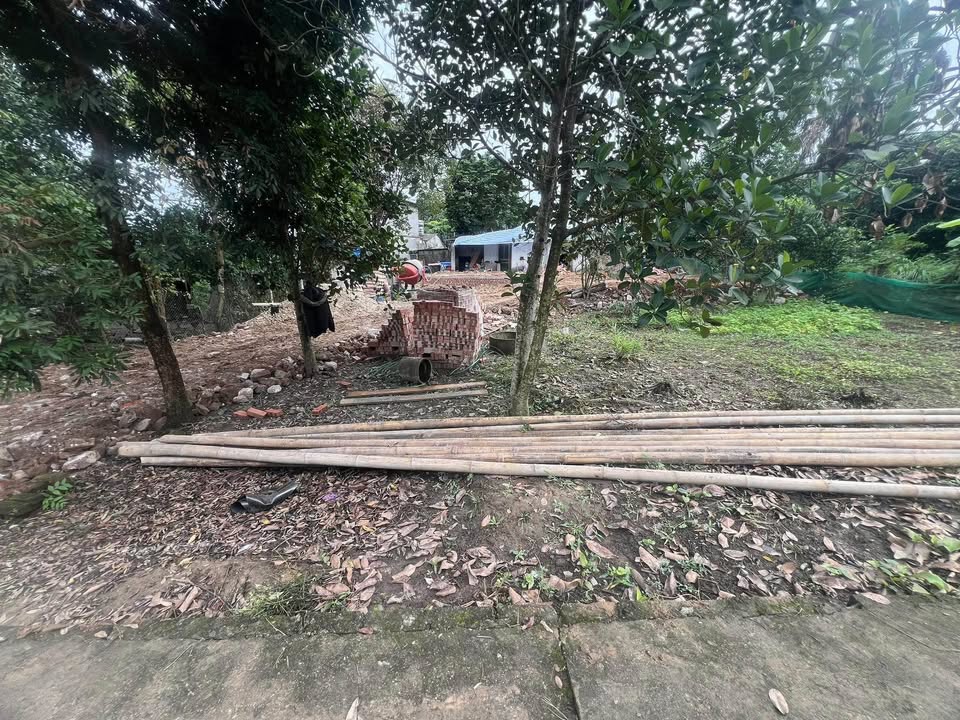 Đất thổ cư tại Lưỡng Vượng Tuyên Quang 400m² giá 1.2 tỷ - Cơ hội đầu tư lý tưởng!