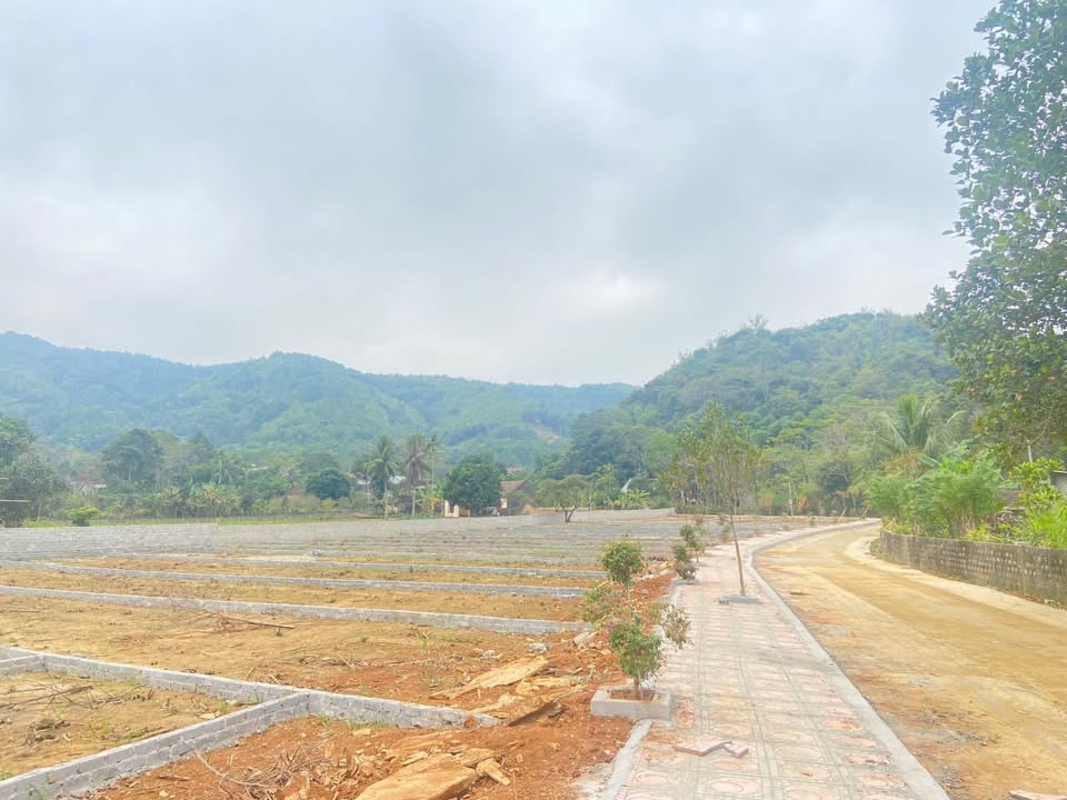 Đất nền Thạch Cẩm Thạch Thành 120m² giá chỉ 300 triệu - Cơ hội đầu tư tuyệt vời!