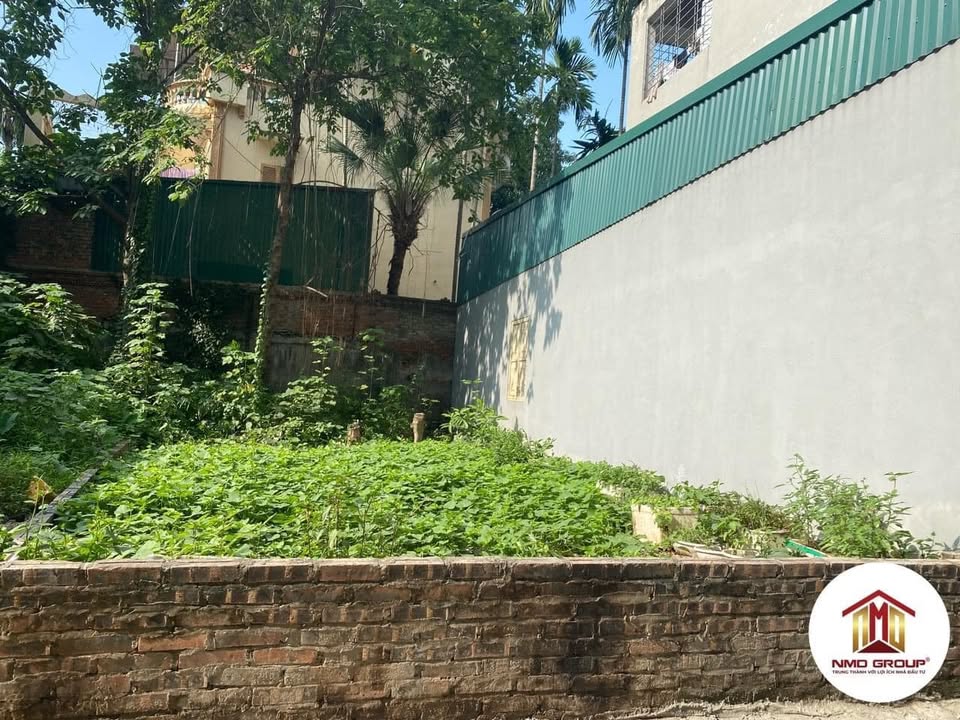 Đất thổ cư 56m² Thụy Hà Bắc Hồng Đông Anh giá nhỉnh 1 tỷ - Sổ đỏ chính chủ