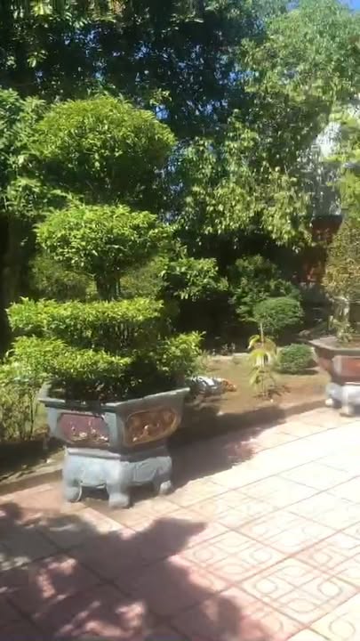 Biệt thự nhà vườn xã Thái Mỹ, Củ Chi 1590m² giá 14 tỷ - Đầu tư lý tưởng!