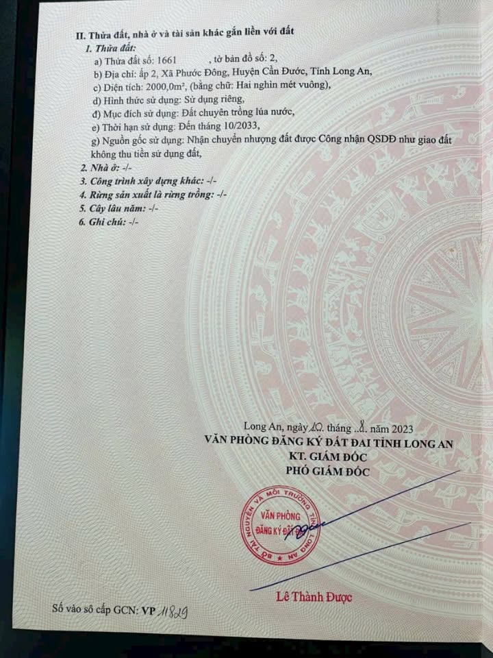 Đất nền 2000m² tại Ấp 2, xã Phước Đông, Cần Đước, Long An - Giá chỉ 1.2 tỷ, thích hợp làm nhà vườn!