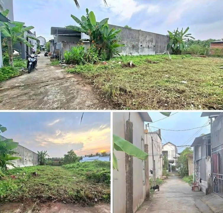 Đất nền Kho Bia, Bến Tre 120m² giá 890 triệu - Đường ô tô vào tận nơi!