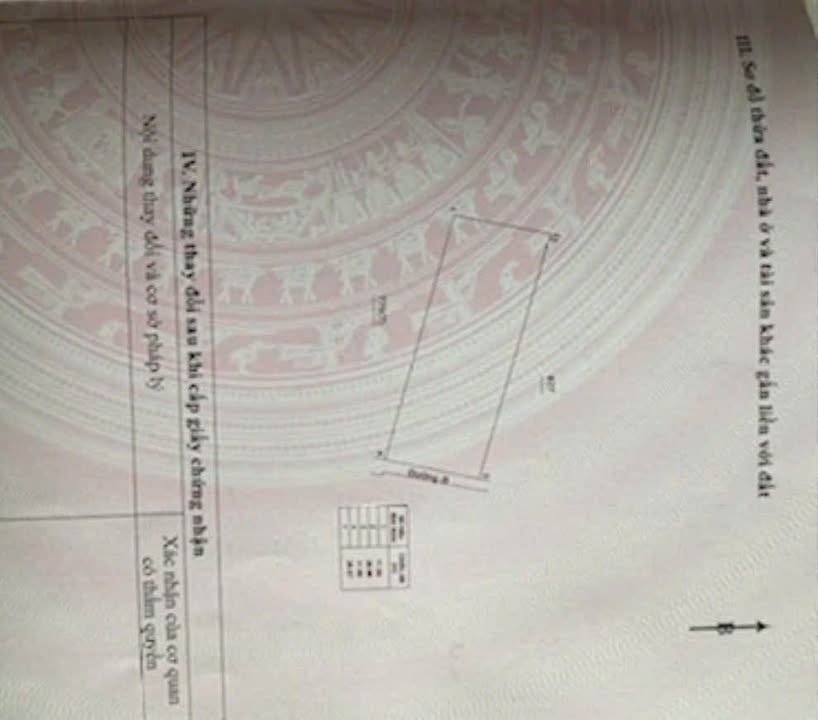 Đất nền phố xe hoa Lâm, Bến Tre 300m² giá 900 triệu - Cơ hội đầu tư hấp dẫn!