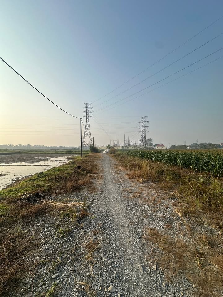 Đất nền xã Văn Lý, huyện Lý Nhân 175m² giá chỉ 500 triệu - Đầu tư sinh lời ngay!