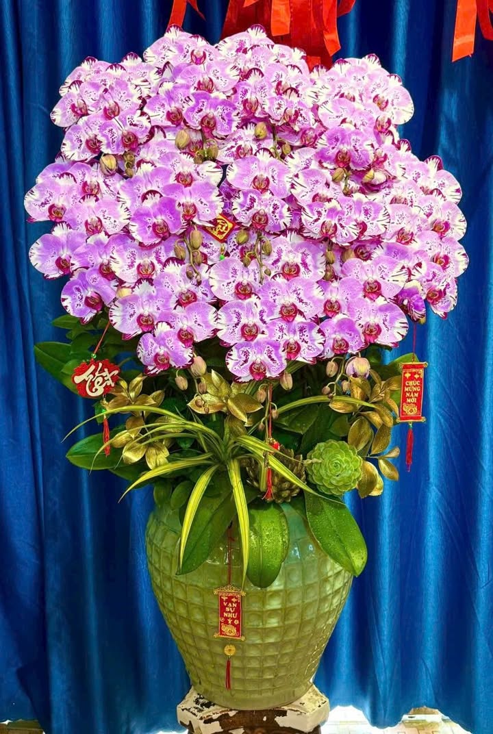 Nhà mặt tiền Lê Văn Sỹ, Phú Nhuận 97m² giá 25 tỷ - Đầu tư sinh lời ngay!