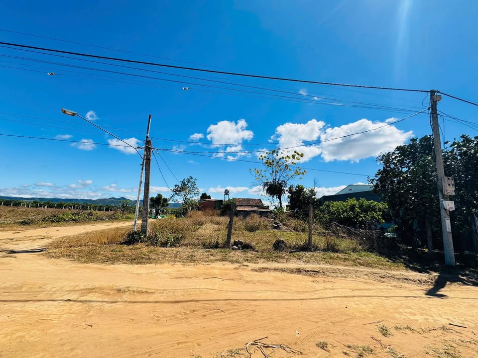 Đất nền lô góc 2 mặt tiền tại Đắk Hring 294m² giá 500 triệu - Cơ hội đầu tư tốt!