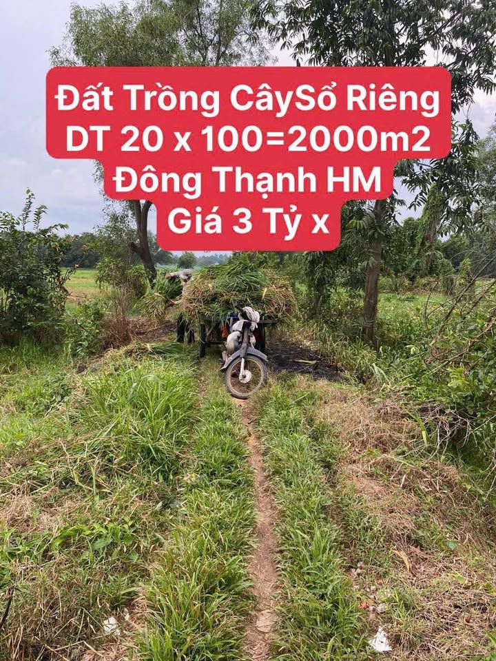 Đất trồng cây xã Đông Thạnh, Hóc Môn 2000m² - Sổ riêng chính chủ!