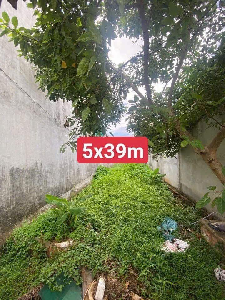 Đất mặt tiền Thạnh Lộc 31, Quận 12, diện tích 192,3m² - Cơ hội đầu tư tuyệt vời!