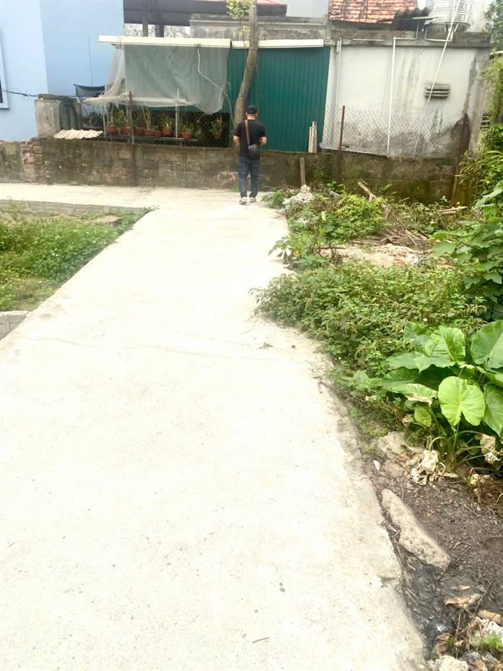 Đất Ninh Sở, Thường Tín 41.5m² giá 3,05 tỷ - Sổ đỏ chính chủ, đầu tư sinh lời!