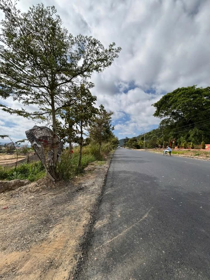 Đất nền Xã D’ran, Huyện Đơn Dương 400m² giá 22 tỷ - Đầu tư dài hạn sinh lời!