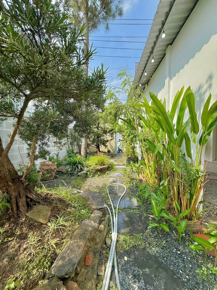 Đất mặt tiền Phạm Hùng, Mỹ Tho 617m² - Phù hợp kinh doanh đỉnh cao!