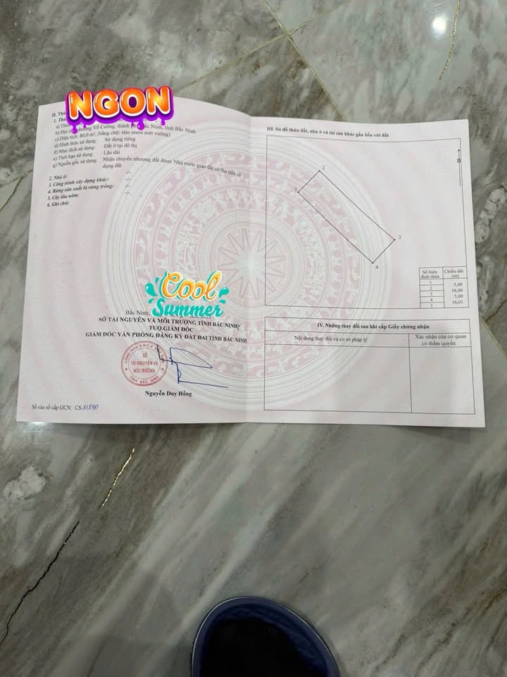 Đất nền khu 8.3ha Xuân Ổ B, Bắc Ninh 80m² - Tiềm năng phát triển lớn!