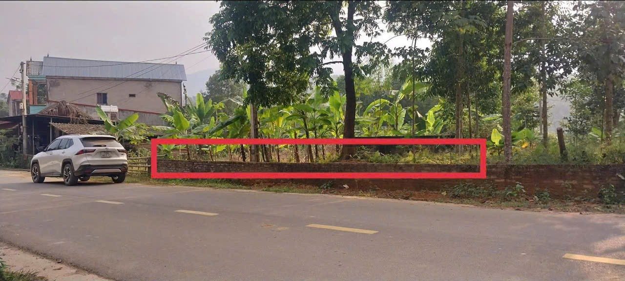 Đất thổ cư 200m² tại Huyện Thanh Sơn - Giá chỉ 800 triệu, đầu tư sinh lời cao!