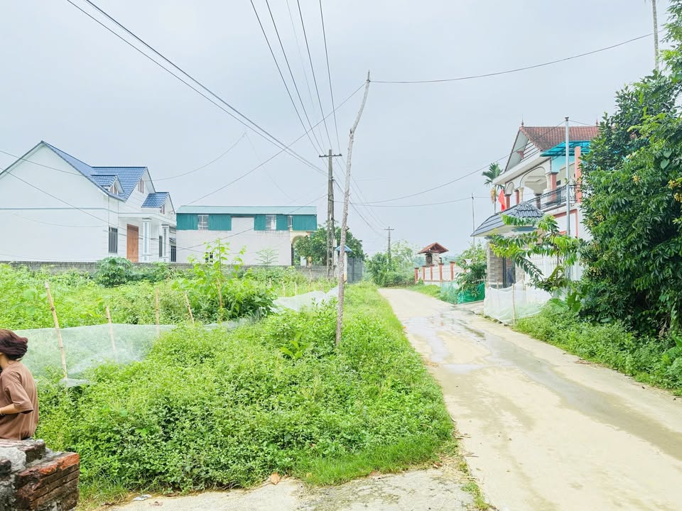 Đất thổ cư 50m² tại thôn Văn Thái, Lương Sơn, Hòa Bình - Giá 299 triệu, sẵn nhà cấp 4!