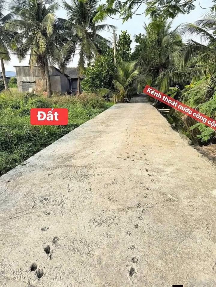 Đất lúa 4938m² tại Phú Xuân 2, Châu Thành, Long An - Giá chỉ 550 triệu!