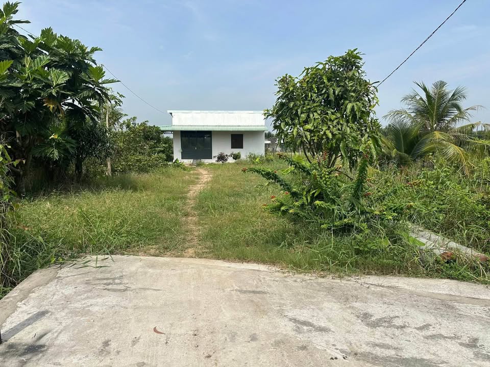 Đất thổ cư mặt tiền đường Nguyễn Văn Tịch 908m² giá 5.65 tỷ - Đầu tư sinh lời hấp dẫn!