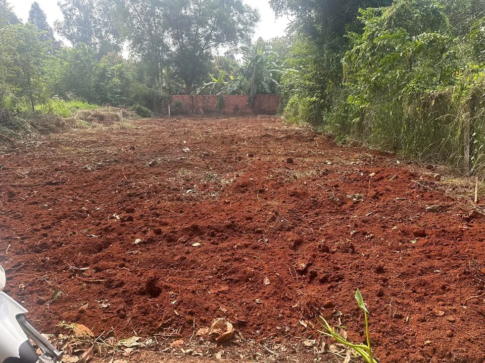 Đất thổ cư 300m² tại Ngãi Giao, Châu Đức - Giá 1.65 tỷ, thương lượng ngay!