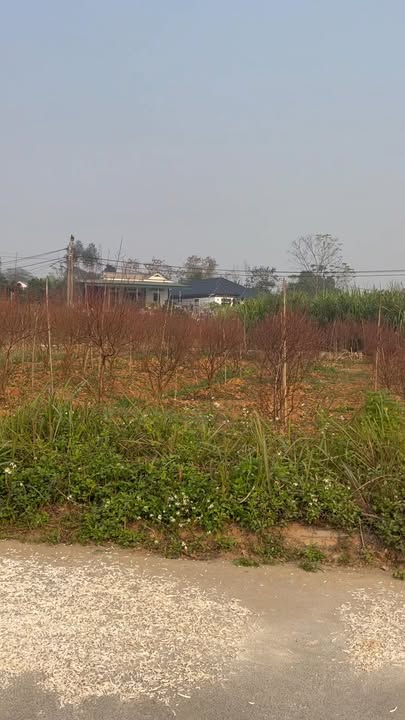 Đất nền Tái định cư KM5 Phú Thọ 100m² giá chỉ 1.2 tỷ - Cơ hội đầu tư hiếm có!