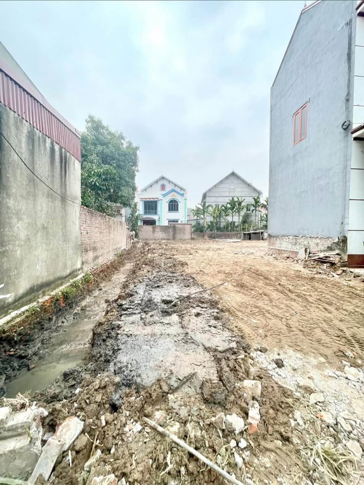 Đất nền Phường Bồng Lai, Huyện Quế Võ 81m² giá 1.3 tỷ - Cơ hội đầu tư hấp dẫn!