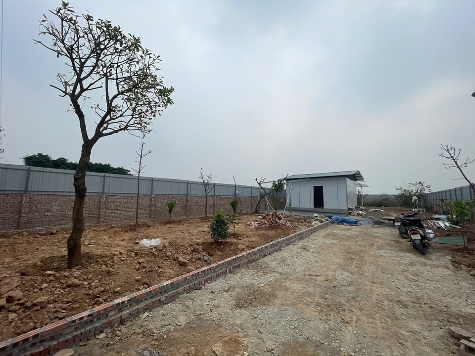 Đất nền 1100m² Chúc Sơn giá đầu tư chỉ 6.x - Cơ hội vàng cho nhà đầu tư!