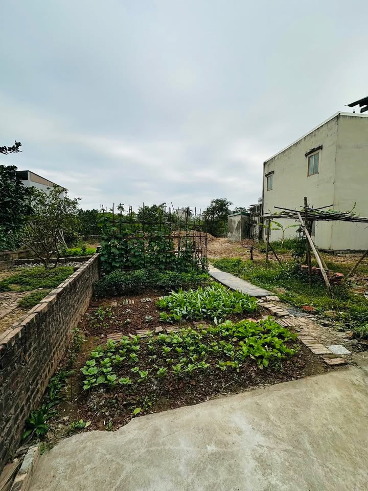 Đất nền 60m² Xã Vân Canh, Huyện Hoài Đức giá tốt - Chính chủ bán gấp!