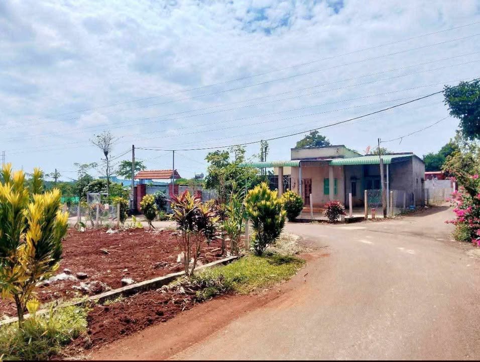 Đất nền Bàu Chinh 150m² giá 590 triệu - Sổ hồng chính chủ, đầu tư sinh lời!