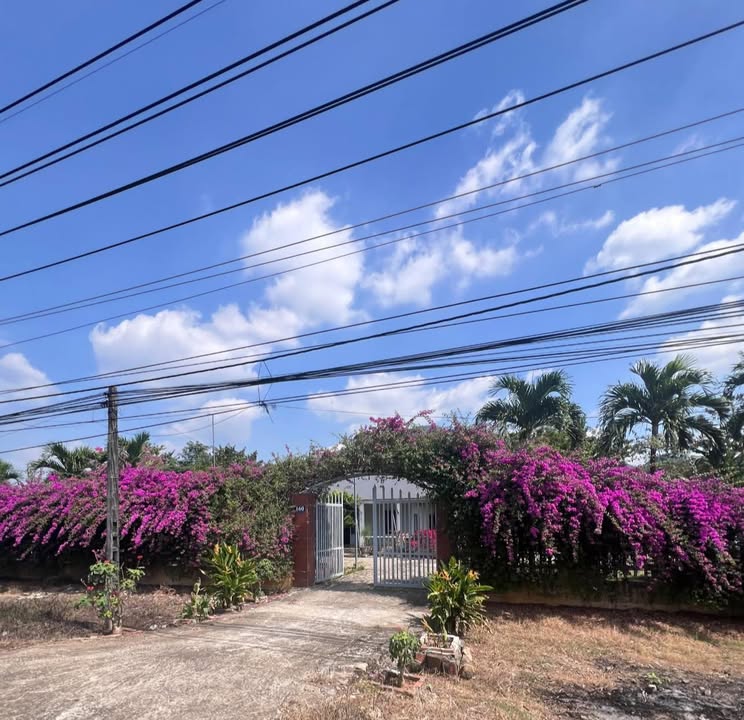 Đất nền Phú Bình Long Khánh 110m² giá 950 triệu - Đầu tư sinh lời cao!