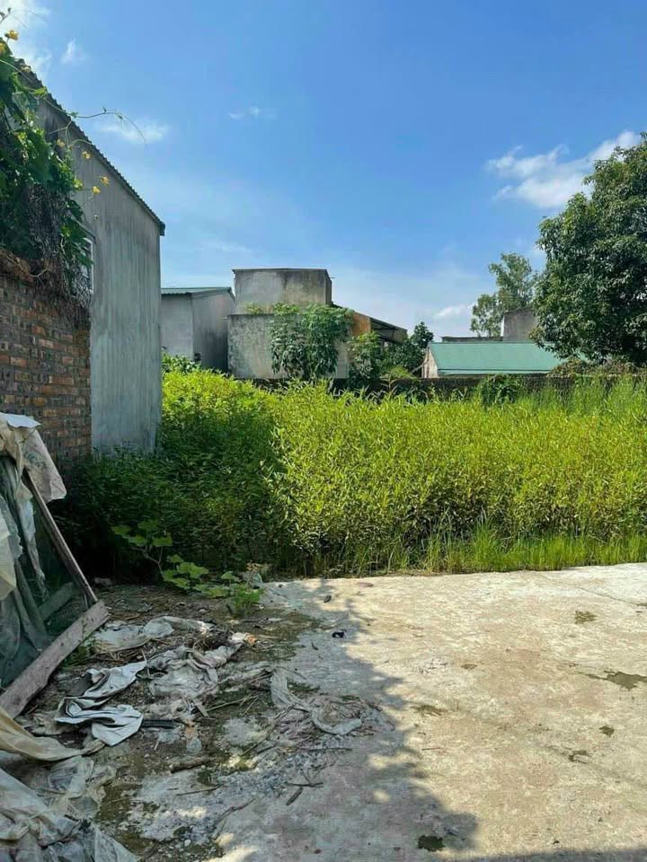 Đất nền phường Mỹ Hào 66.8m² giá chỉ 999 triệu - Sở hữu ngay hôm nay!