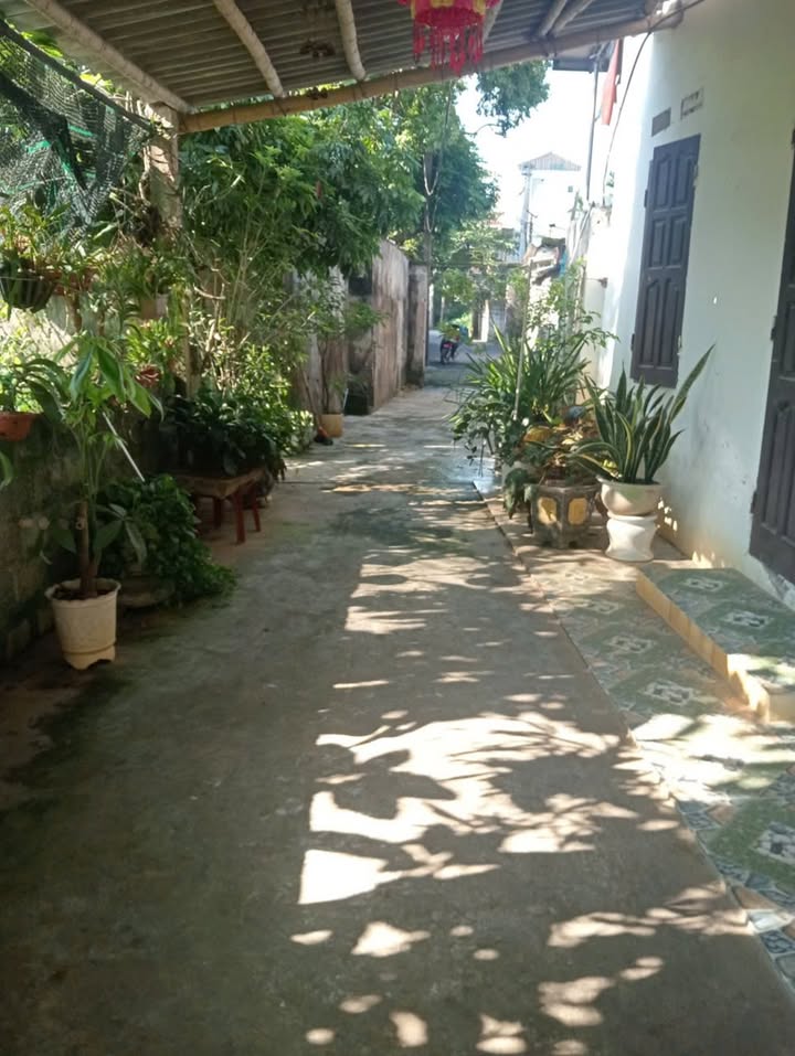 Lô đất đẹp khu Thanh Châu, Phủ Lý 68m² chỉ 900 triệu - Cơ hội đầu tư hiếm có!