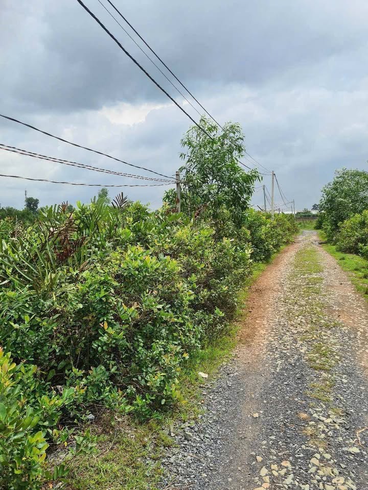 Đất quy hoạch giáo dục 29000m² tại Thủ Đức - Giá chỉ 160 tỷ, thương lượng chính chủ!