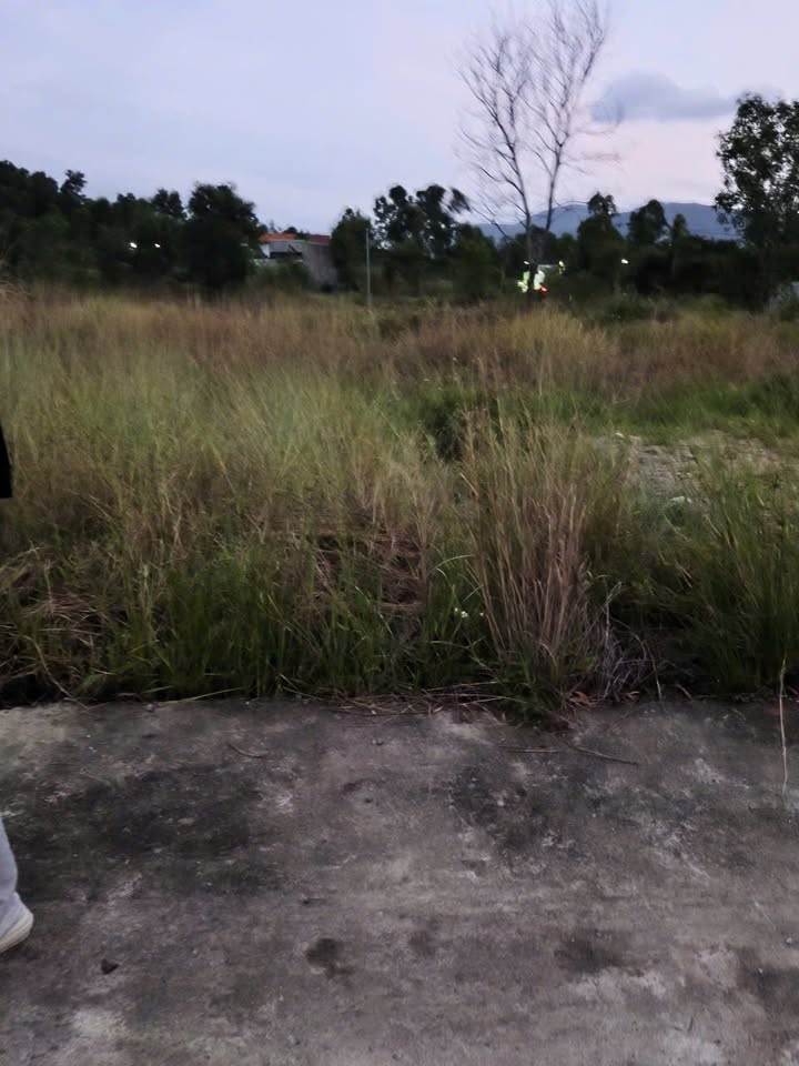 Đất thổ cư 83m² tại hẻm Thái Khang, Phước Đồng - Giá chỉ 1.42 tỷ VND!