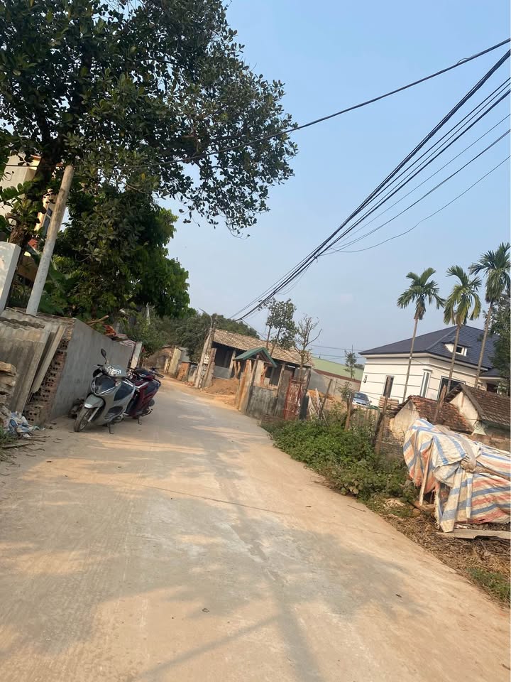 Đất nền trung tâm Huyện Tam Đảo 101m² giá dưới 900 triệu - Cơ hội đầu tư tuyệt vời!