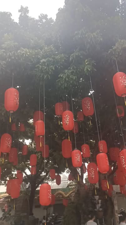 Bán FrontHouse 72m² Hẻm Bagac, Bình Thạnh - Nở hậu tài lộc, giá chỉ 5 tỷ!